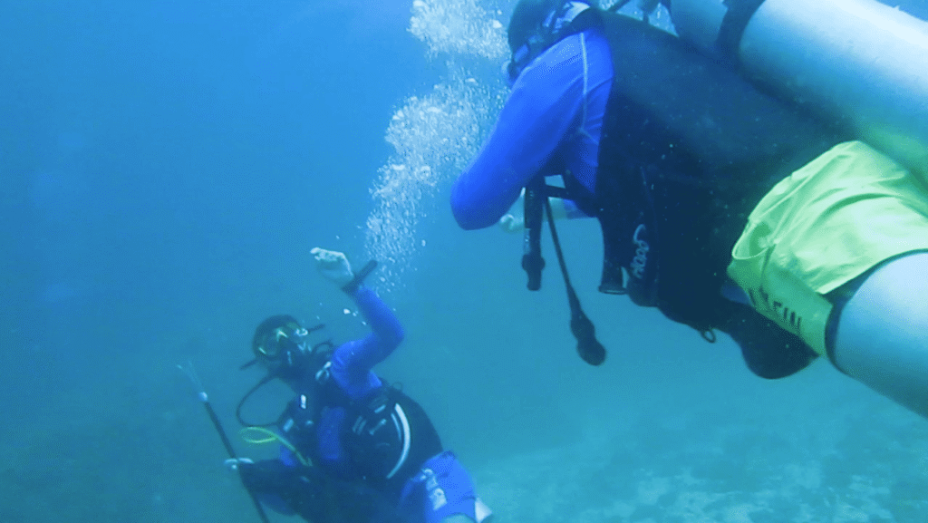 screenshot from 2025 08 27 12 20 30