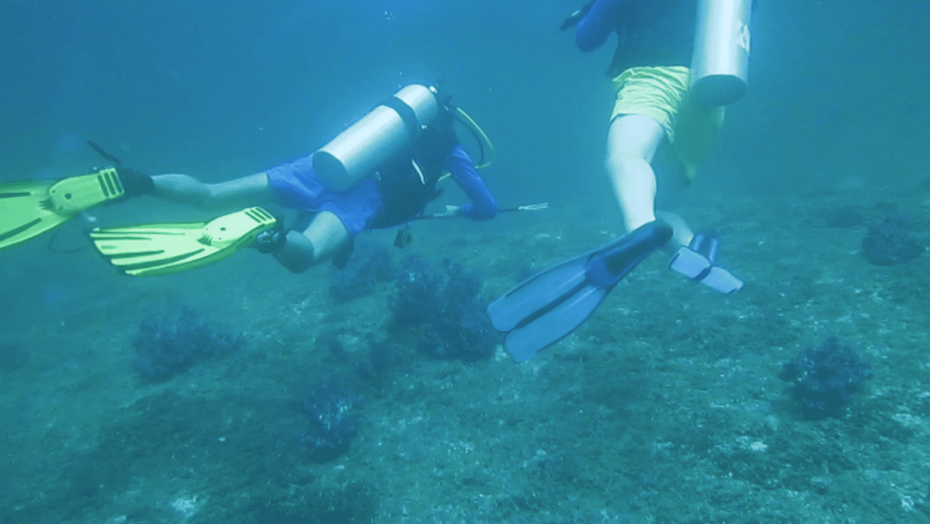 screenshot from 2025 08 27 12 20 54