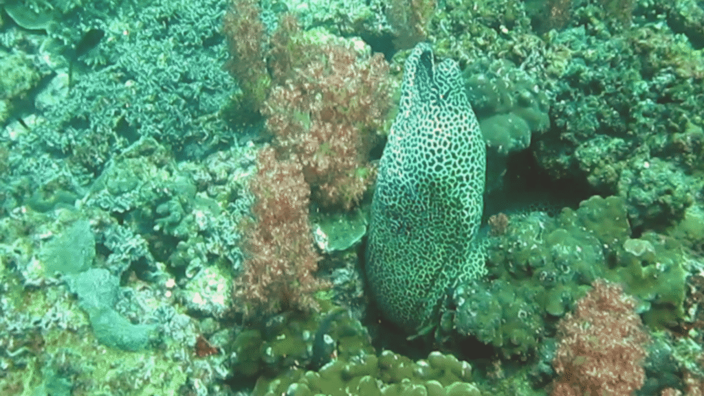 screenshot from 2025 08 27 12 22 28