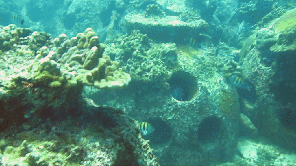 screenshot from 2025 08 27 12 23 31