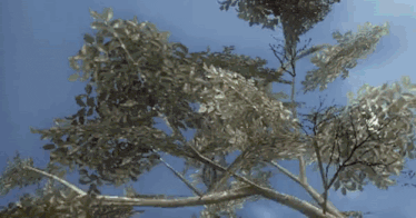 Metal Gear Solid: Peace Walker - The Metal Gear We Never Got Again metal gear solid peacewalker big boss